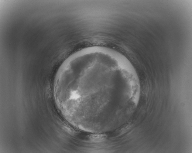 X0000066970465200604142145