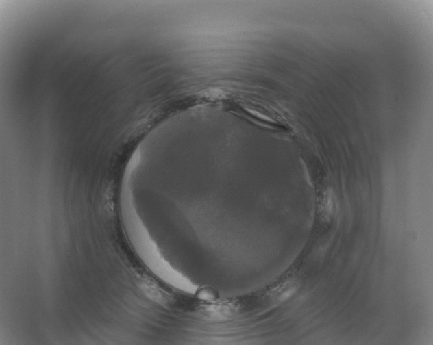 X0000066970466200604142145