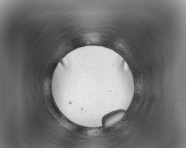 X0000066970468200604142145