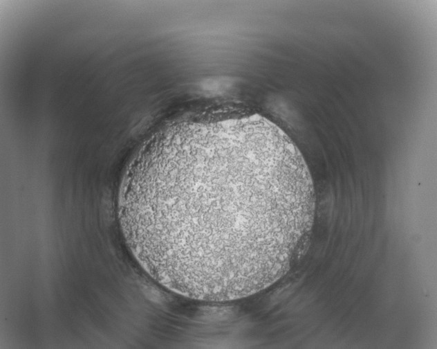 X0000066970469200604142145