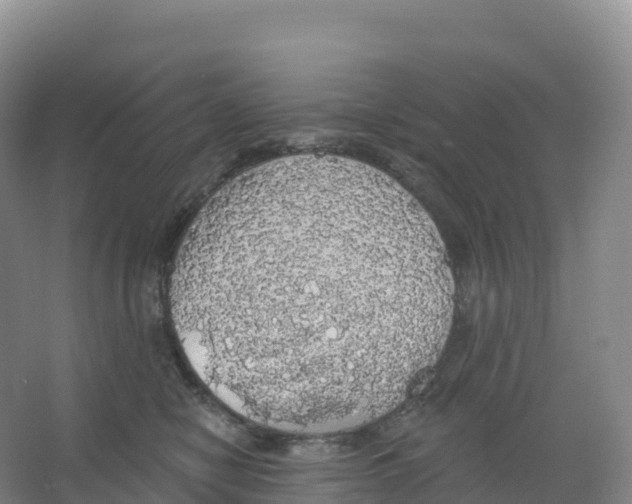 X0000066970470200604142145