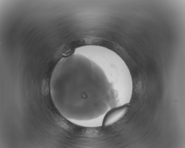 X0000066970471200604142145