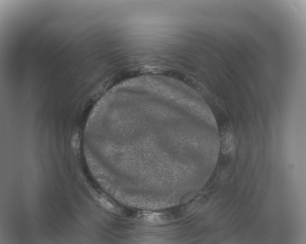 X0000066970472200604142145