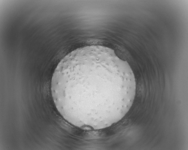 X0000066970473200604142145