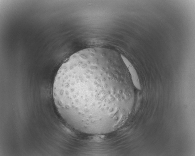 X0000066970474200604142145