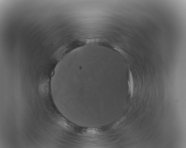 X0000066970475200604142145