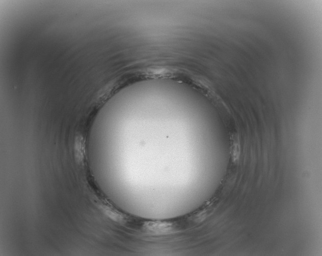 X0000066970476200604142145