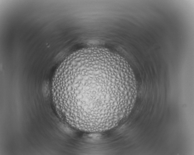 X0000066970478200604142145