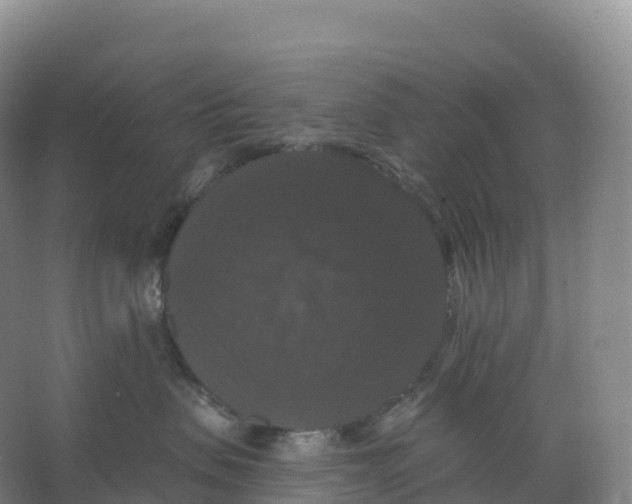 X0000066970479200604142145