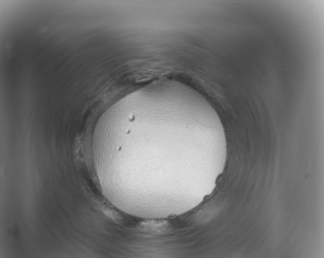 X0000066970480200604142145