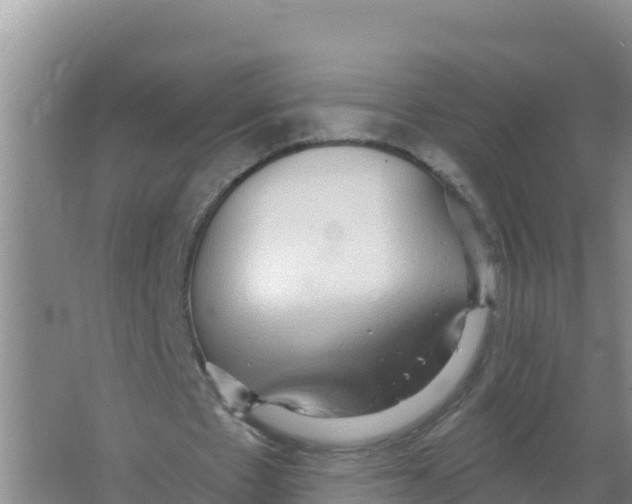 X0000066970481200604142145