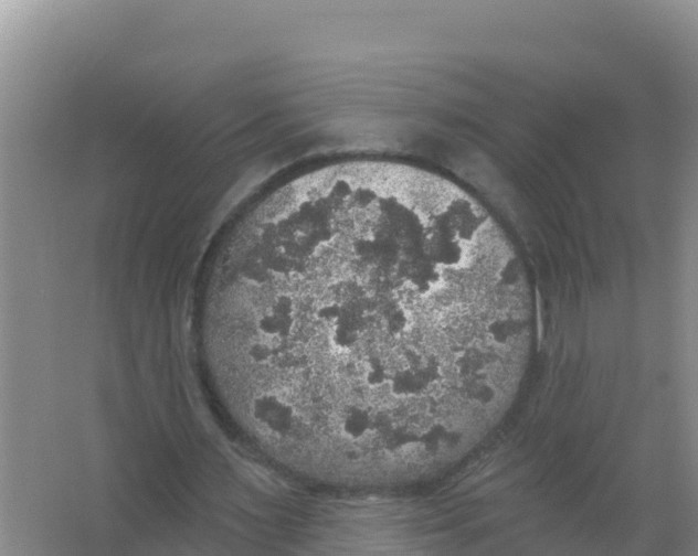 X0000066970483200604142145