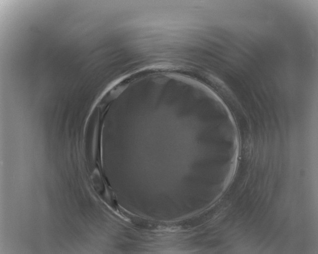 X0000066970484200604142145