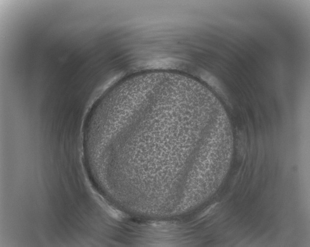 X0000066970486200604142145