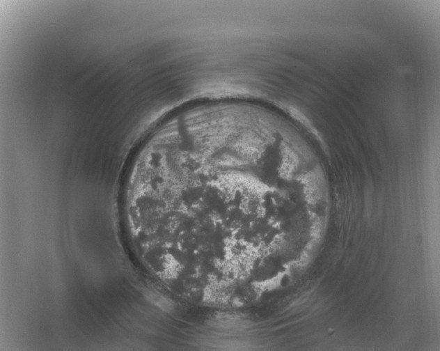 X0000066970487200604142145