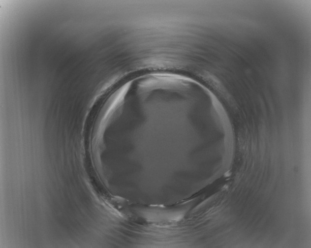 X0000066970488200604142145