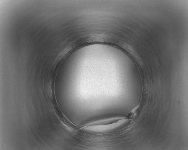 X0000066970489200604142144