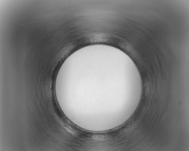 X0000066970490200604142144