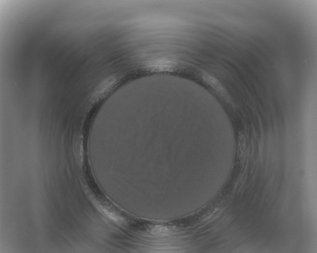 X0000066970494200604142144