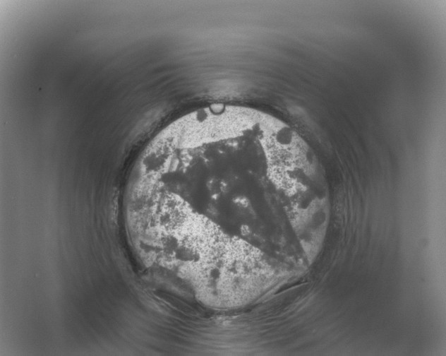 X0000066970495200604142144