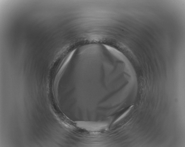 X0000066970496200604142144