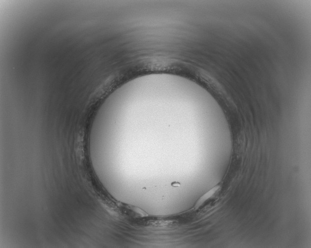 X0000066970497200604142144