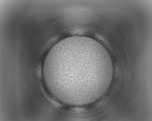 X0000066970498200604142144