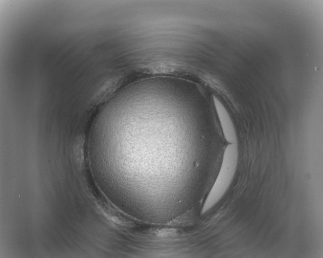 X0000066970501200604142144