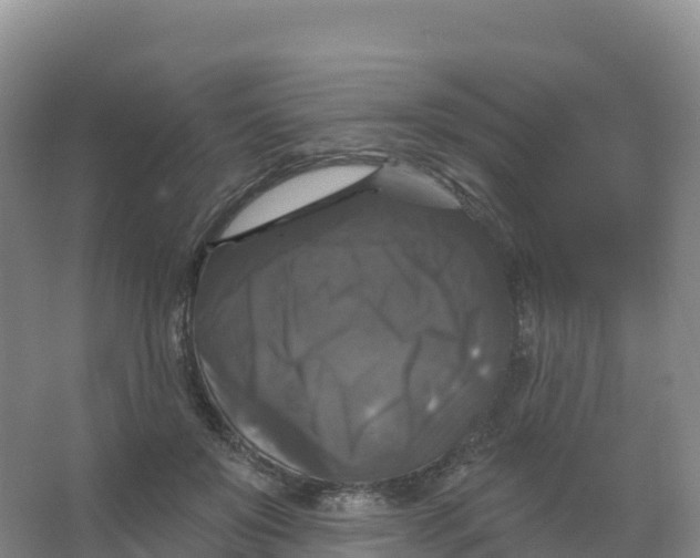 X0000066970503200604142144