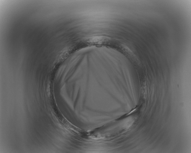 X0000066970504200604142144