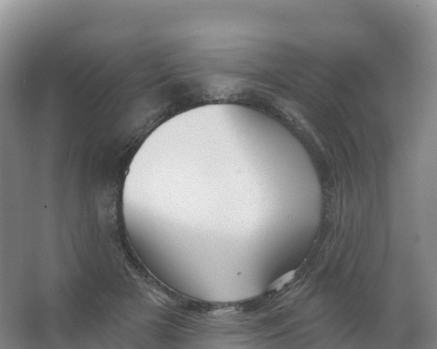 X0000066970505200604142144