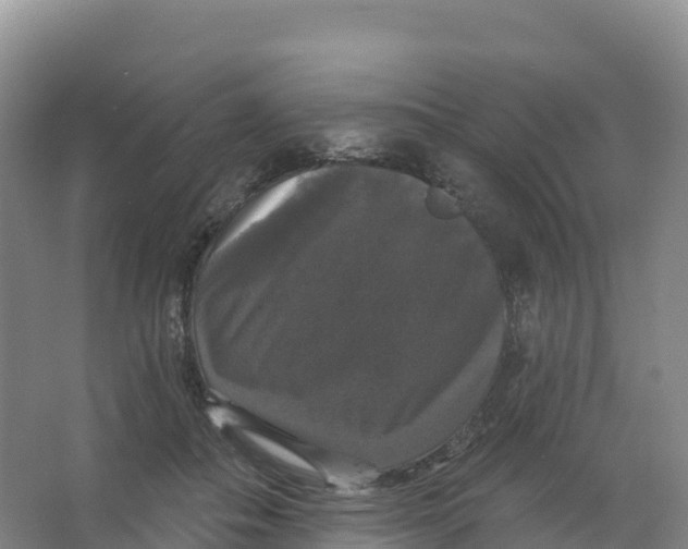 X0000066970506200604142144