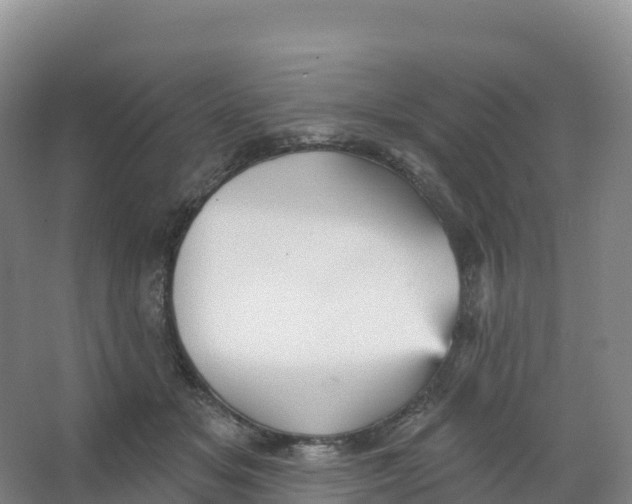 X0000066970509200604142144