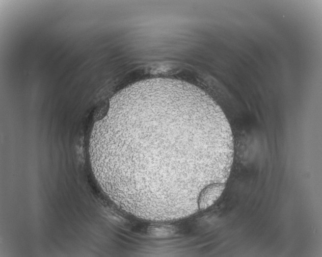 X0000066970510200604142144