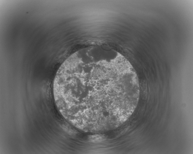 X0000066970511200604142144