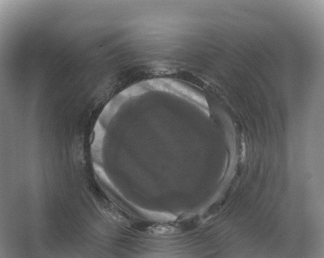 X0000066970512200604142144