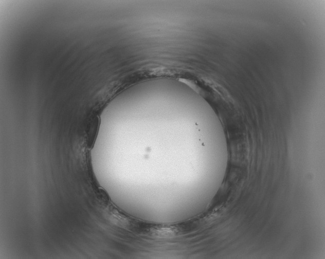 X0000066970513200604142144