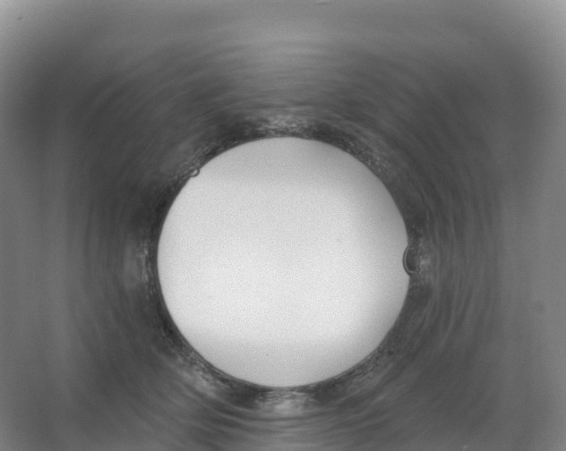 X0000066970514200604142144