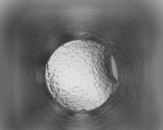 X0000066970515200604142144