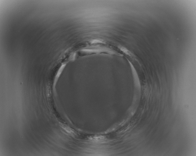 X0000066970517200604142144