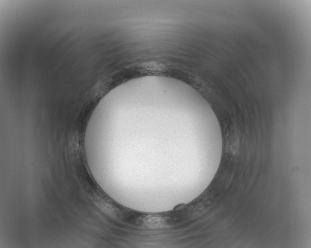 X0000066970518200604142144