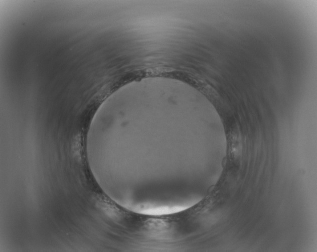 X0000066970519200604142144