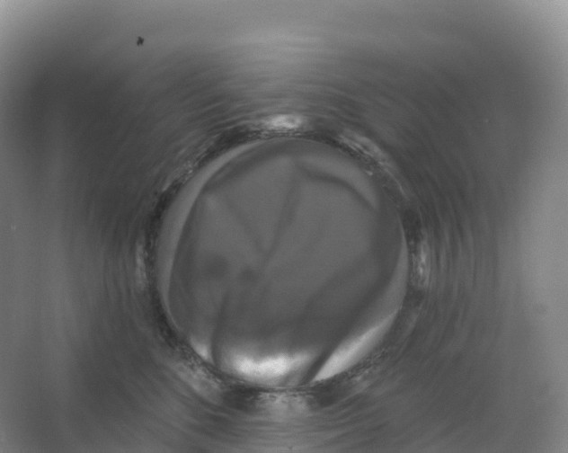 X0000066970520200604142144