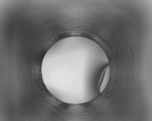 X0000066970521200604142144