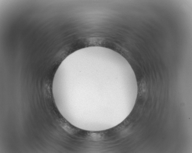 X0000066970522200604142144