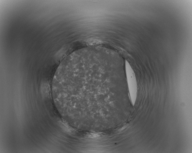 X0000066970523200604142144