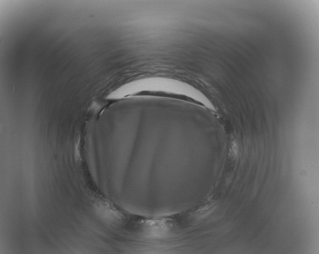 X0000066970524200604142144