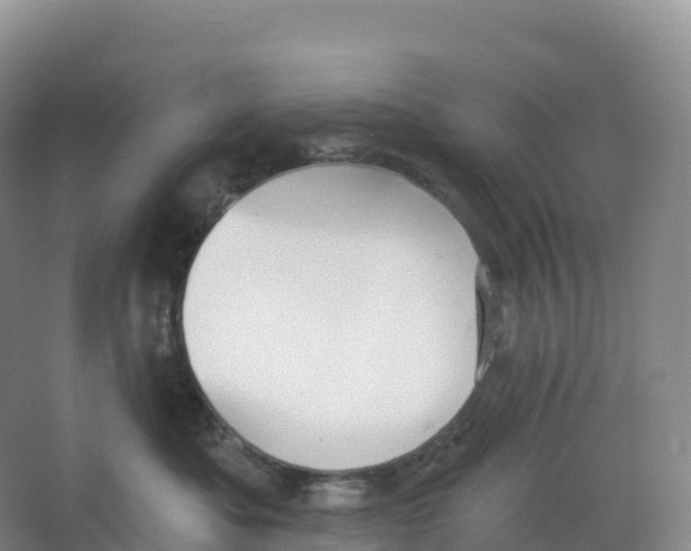 X0000066970525200604142144