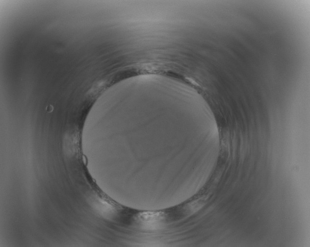 X0000066970526200604142144