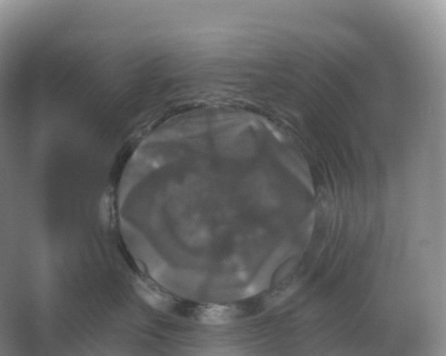 X0000066970527200604142144